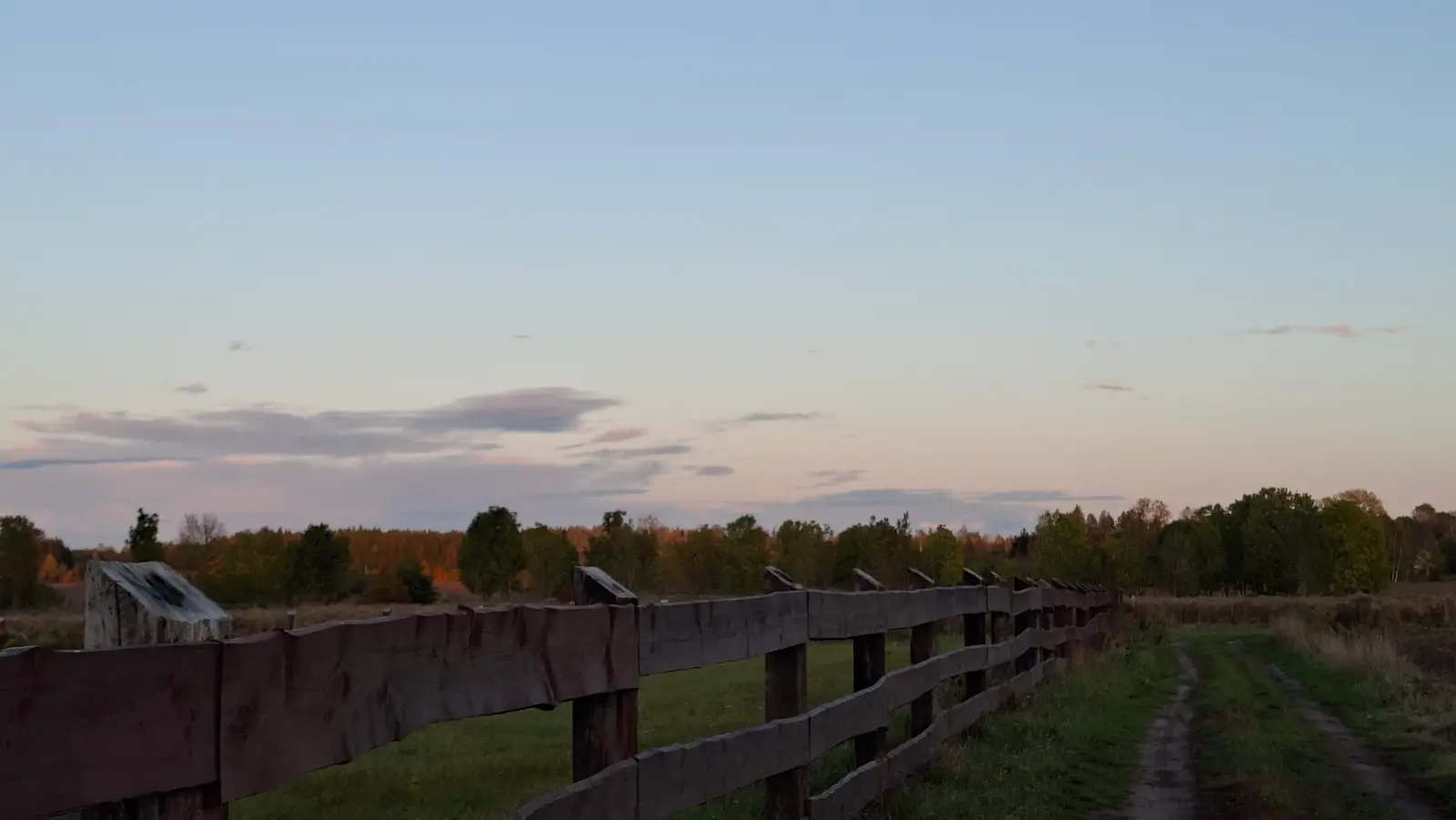Zdjęcie w orientacji poziomej ukazuje wiejski krajobraz o zachodzie słońca, zdominowany przez długie, drewniane ogrodzenie biegnące wzdłuż piaszczystej ścieżki. Rustykalny płot wykonany z ciemnych, poziomych desek zajmuje dolną część kadru, prowadząc wzrok widza w głąb pola w kierunku linii lasu. Niebo wypełnia większość przestrzeni, prezentując delikatne przejścia kolorystyczne od jasnego błękitu po subtelne różowe odcienie oświetlające chmury. W tle widoczna jest krawędź jesiennego lasu, którego korony drzew nabrały ciepłych, złotych barw dzięki ostatnim promieniom słońca. Całość kompozycji utrzymana jest w spokojnym, wieczornym nastroju, podkreślając naturalny spokój i sielski charakter otwartej przestrzeni.