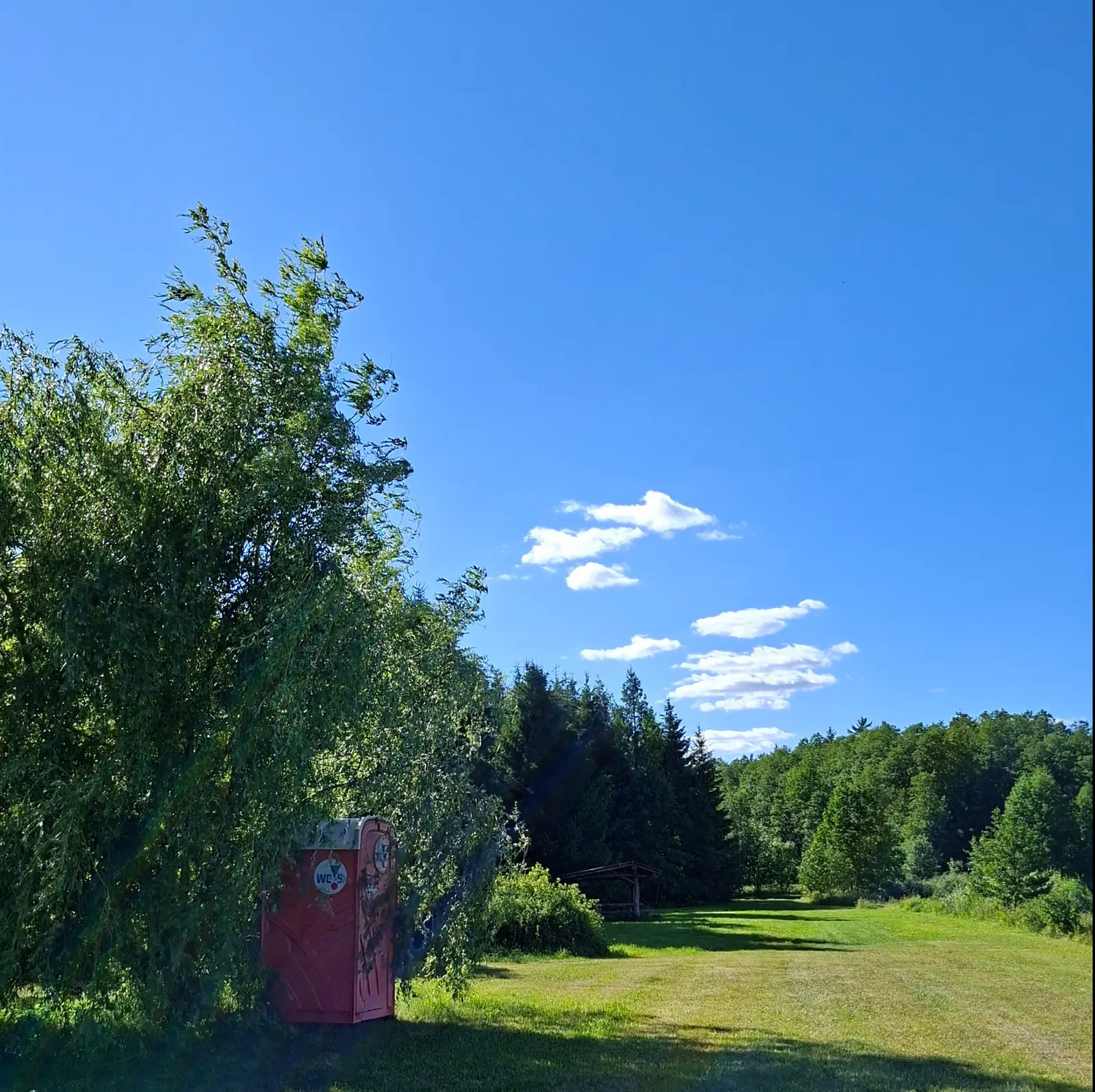 Zdjęcie w formacie kwadratowym przedstawia słoneczny krajobraz z rozległą zieloną polaną na pierwszym planie. Po lewej stronie kadru znajduje się duże, rozłożyste drzewo, pod którym stoi pojedyncza, czerwona przenośna toaleta typu Toi-Toi. Na drzwiach kabiny widoczna jest okrągła naklejka z napisem „WC” oraz czerwonym symbolem. W tle widać gęsty las iglasty oraz niewielką drewnianą wiatę rekreacyjną ukrytą wśród drzew. Niebo jest intensywnie błękitne, z kilkoma delikatnymi, białymi chmurami, a cała scena jest oświetlona jasnym światłem dziennym z wyraźnymi cieniami rzucanymi przez roślinność.
