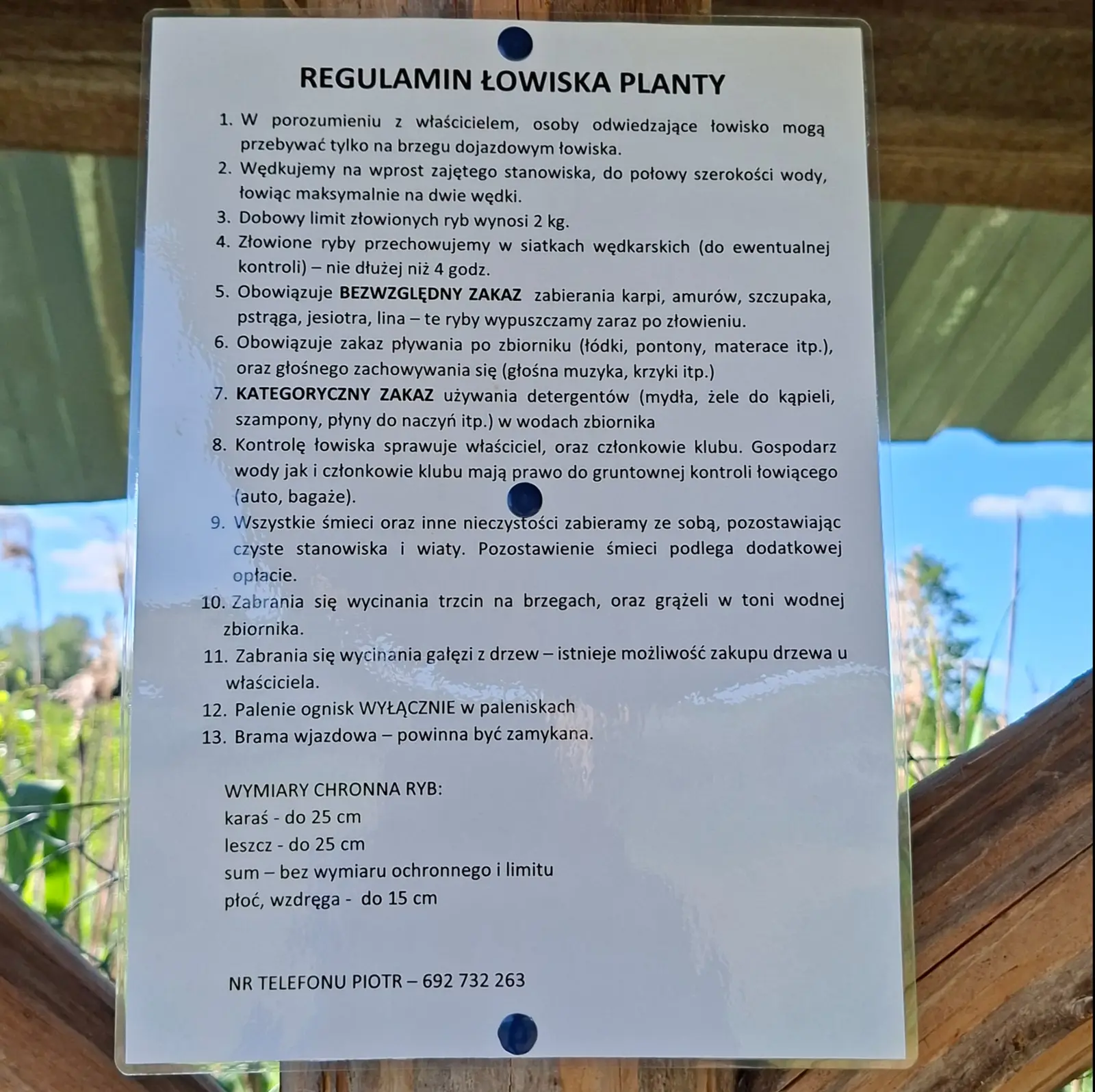Pionowo zorientowane zdjęcie przedstawia białą tablicę informacyjną umieszczoną na drewnianej konstrukcji wiaty, zawierającą regulamin łowiska wędkarskiego. Tablica przymocowana jest niebieskimi pinezkami i zawiera szczegółowe zasady korzystania z terenu, tekst w kolorze czarnym na jasnym tle. Treść regulaminu: REGULAMIN ŁOWISKA PLANTY. 1. W porozumieniu z właścicielem, osoby odwiedzające łowisko mogą przebywać tylko na brzegu dojazdowym łowiska. 2. Wędkujemy na wprost zajętego stanowiska, do połowy szerokości wody, łowiąc maksymalnie na dwie wędki. 3. Dobowy limit złowionych ryb wynosi 2 kg. 4. Złowione ryby przechowujemy w siatkach wędkarskich (do ewentualnej kontroli) – nie dłużej niż 4 godz. 5. Obowiązuje BEZWZGLĘDNY ZAKAZ zabierania karpi, amurów, szczupaka, pstrąga, jesiotra, lina – te ryby wypuszczamy zaraz po złowieniu. 6. Obowiązuje zakaz pływania po zbiorniku (łódki, pontony, materace itp.), oraz głośnego zachowywania się (głośna muzyka, krzyki itp.). 7. KATEGORYCZNY ZAKAZ używania detergentów (mydła, żele do kąpieli, szampony, płyny do naczyń itp.) w wodach zbiornika. 8. Kontrolę łowiska sprawuje właściciel, oraz członkowie klubu. Gospodarz wody jak i członkowie klubu mają prawo do gruntownej kontroli łowiącego (auto, bagaże). 9. Wszystkie śmieci oraz inne nieczystości zabieramy ze sobą, pozostawiając czyste stanowiska i wiaty. Pozostawienie śmieci podlega dodatkowej opłacie. 10. Zabrania się wycinania trzcin na brzegach, oraz grążeli w toni wodnej zbiornika. 11. Zabrania się wycinania gałęzi z drzew – istnieje możliwość zakupu drzewa u właściciela. 12. Palenie ognisk WYŁĄCZNIE w paleniskach. 13. Brama wjazdowa – powinna być zamykana. WYMIARY CHRONNA RYB: karaś - do 25 cm, leszcz - do 25 cm, sum - bez wymiaru ochronnego i limitu, płoć, wzdręga - do 15 cm. NR TELEFONU PIOTR – 692 732 263. W tle widać zarys naturalnego krajobrazu z roślinnością i błękitnym niebem, co sugeruje lokalizację nad wodą.