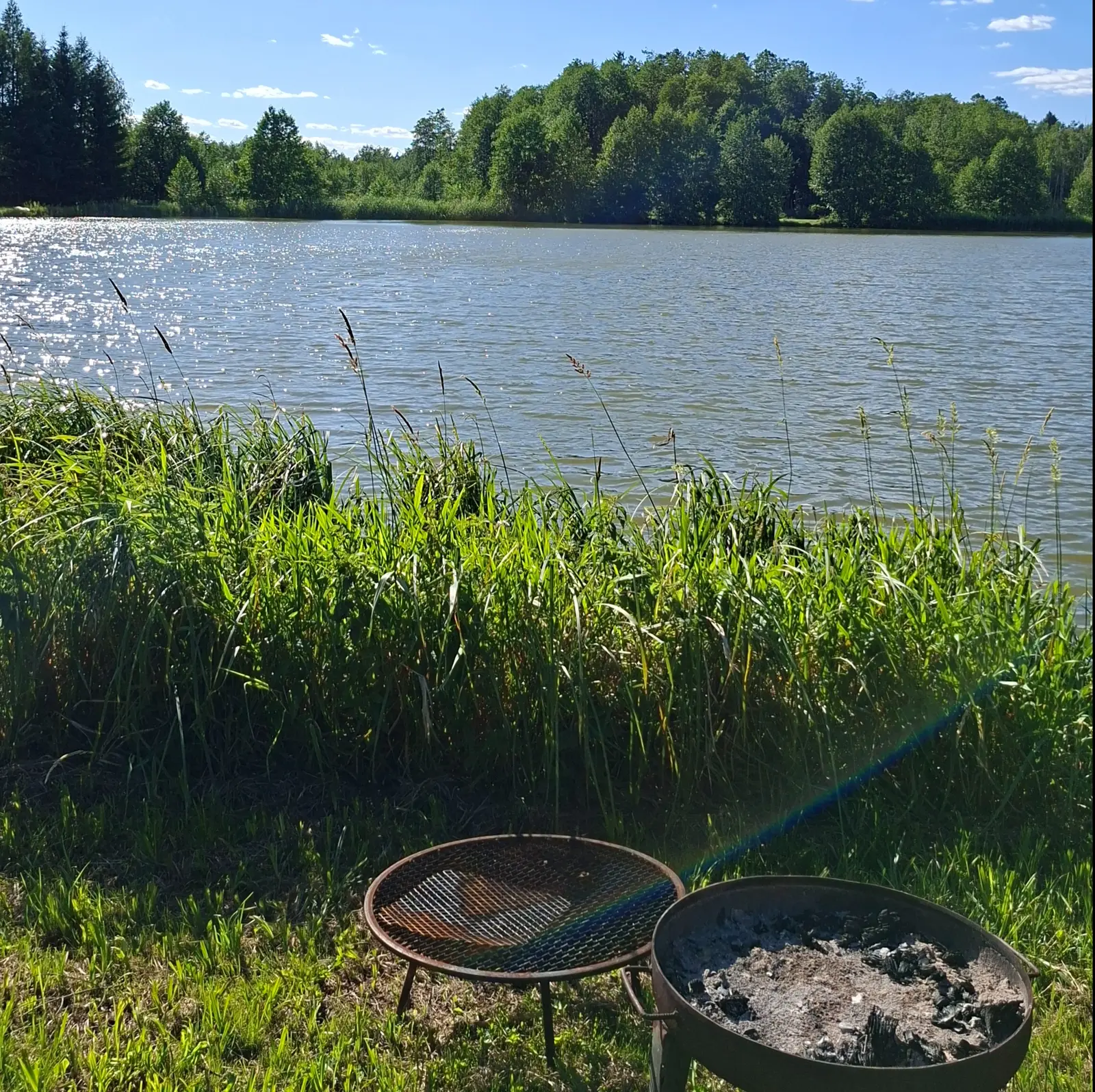 Zdjęcie o orientacji pionowej (proporcje około 1:1) przedstawia sielankowy krajobraz nad jeziorem w słoneczny dzień. Na pierwszym planie, na trawiastym brzegu, widoczne są dwa metalowe paleniska ogrodowe, z których jedno zawiera pozostałości popiołu i węgla. Wysoka, soczysta zieleń traw i trzcin częściowo przesłania widok na taflę wody, w której odbijają się promienie słońca. W tle rozciąga się pas gęstego, zielonego lasu liściastego, odcinającego się od wyraźnie błękitnego nieba z nielicznymi białymi chmurami. Cała kompozycja oddaje atmosferę letniego wypoczynku na łonie natury, przy czym światło słoneczne tworzy subtelną poświatę i odblaski w dolnej części kadru.
